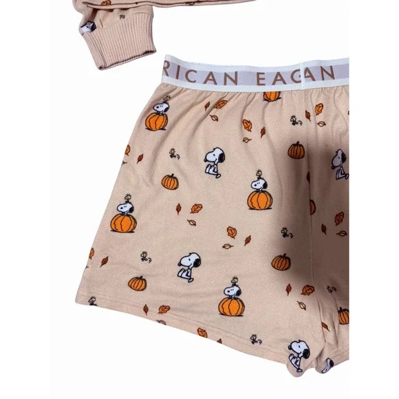 American Eagle Peanuts Fall Pumpkin Snoopy Plush Pajama Set Women's Size Large - Picture 11 of 16